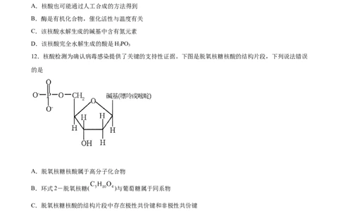 第4章第3节核酸习题新教材2020-2021学年人教版(2019)高二化学选择性必修三（机构用）_高化_2025春-人教版高中化学_05新版高中化学选择性必修3_7.机构专用_讲义+习题（机构用）