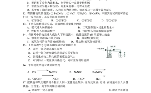2009年全国初中学生化学素质和实验能力竞赛河南赛区预赛试卷_初中化学_01.人教版初中化学_01.初中化学课件PPT--教案--试题_初中化学全套_化学试题