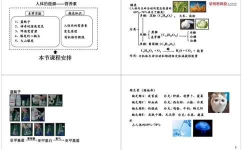 人体的能源&mdash;&mdash;营养素_初中化学_01.人教版初中化学_04.初中化学实验视频_课外化学实验兴趣_第17讲人体的能源&mdash;&mdash;营养素