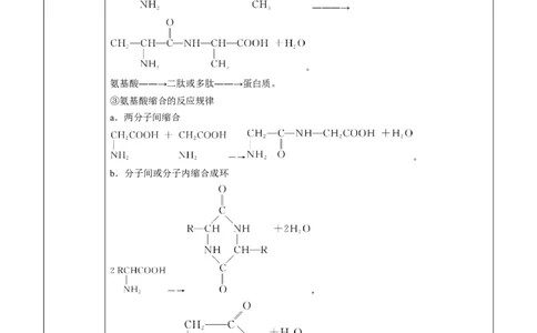 第4章第2节蛋白质讲义新教材2020-2021学年人教版(2019)高二化学选择性必修三（机构用）_高化_2025春-人教版高中化学_05新版高中化学选择性必修3_7.机构专用_讲义+习题（机构用）