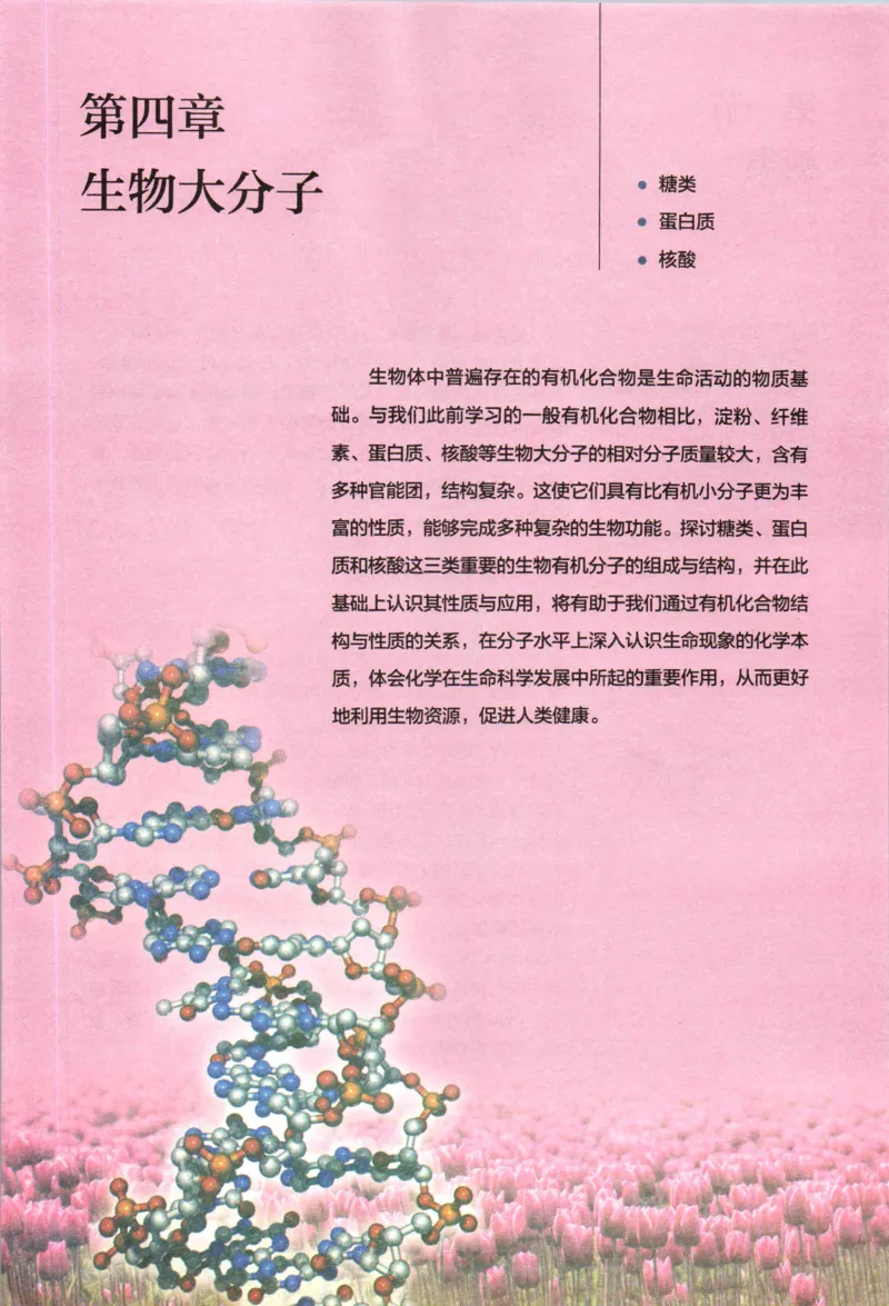 新人教版化学选择性必修3_高化_2025春-人教版高中化学_05新版高中化学选择性必修3