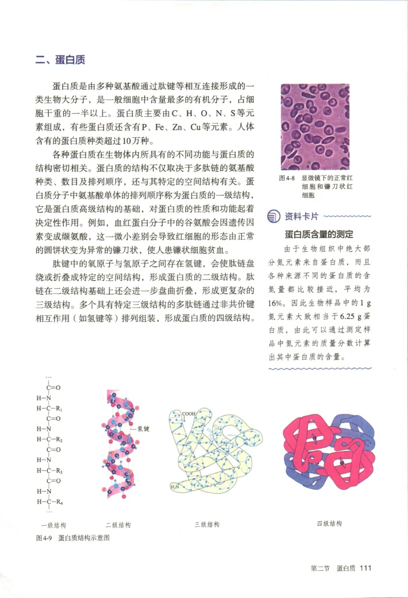新人教版化学选择性必修3_高化_2025春-人教版高中化学_05新版高中化学选择性必修3