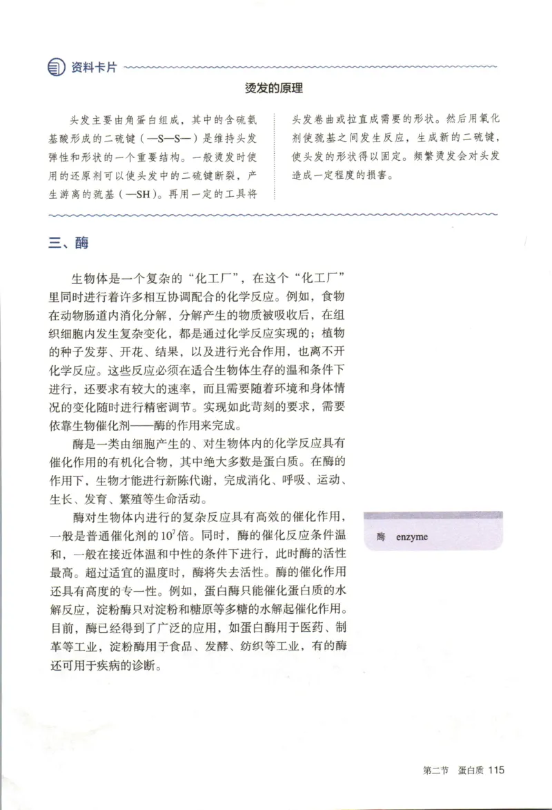 新人教版化学选择性必修3_高化_2025春-人教版高中化学_05新版高中化学选择性必修3