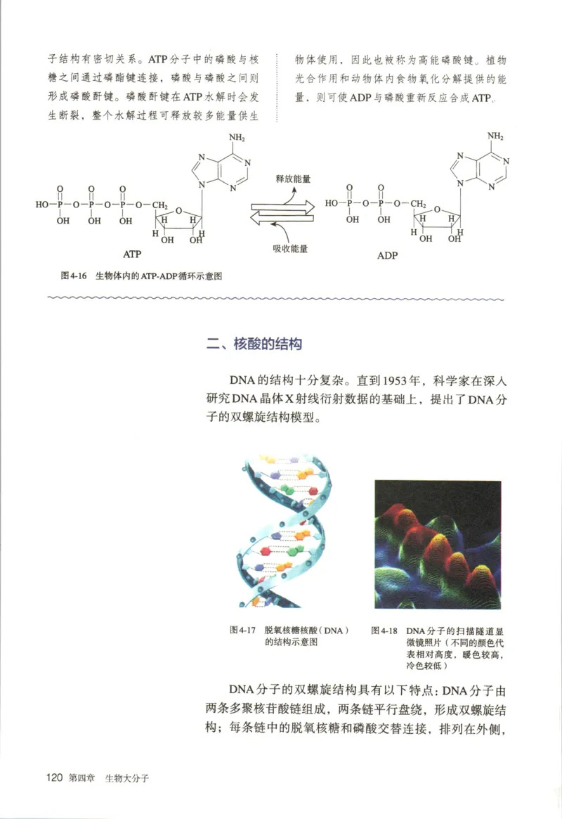 新人教版化学选择性必修3_高化_2025春-人教版高中化学_05新版高中化学选择性必修3