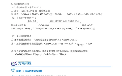 第22讲沉淀溶解平衡的应用（教师版）-（人教2019选择性必修1）_高化_595801221724高中化学新人教版选择性必修一二三电子版教案PPT课件高中试卷_选择性必修1册（人教版）_讲义