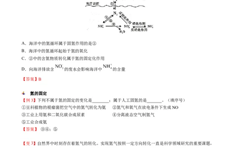 第03讲氮气、一氧化氮、二氧化氮（教师版）-精准提分2020-2021学年高一化学必修第二册同步培优（新教材人教版）_高化_2025春-人教版高中化学_02新版高中化学必修二