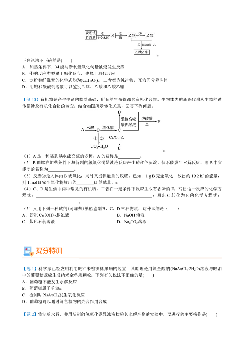 第23讲糖类（学生版）-（人教版2019必修第二册）_高化_595801221724高中化学新人教版选择性必修一二三电子版教案PPT课件高中试卷_必修二册（人教版）_讲义