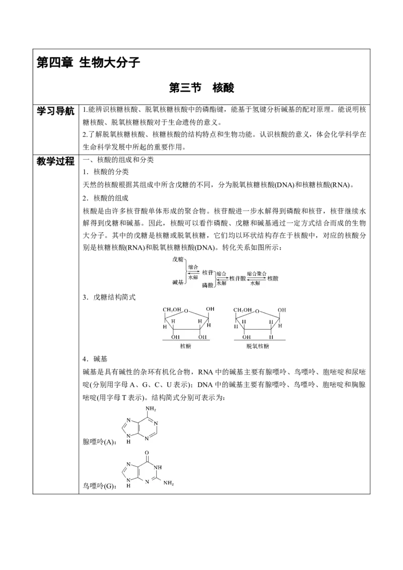 第4章第3节核酸讲义新教材2020-2021学年人教版(2019)高二化学选择性必修三（机构用）_高化_2025春-人教版高中化学_05新版高中化学选择性必修3_7.机构专用_讲义+习题（机构用）