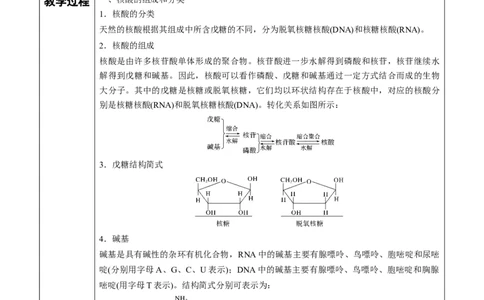 第4章第3节核酸讲义新教材2020-2021学年人教版(2019)高二化学选择性必修三（机构用）_高化_2025春-人教版高中化学_05新版高中化学选择性必修3_7.机构专用_讲义+习题（机构用）