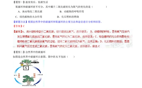 专题10碳及其氧化物（讲）-备战2017年中考化学二轮复习讲练测（解析版）_初中化学_01.人教版初中化学_07.初中化学中考总复习_备战2017年中考化学二轮复习讲练测（讲）