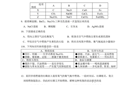 2010年全国初中（第二十届天源杯）化学竞赛肇庆市初赛题_初中化学_01.人教版初中化学_01.初中化学课件PPT--教案--试题_初中化学全套_化学试题