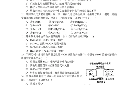 2008年全国初中学生化学素质和实验能力竞赛山东省初赛试题_初中化学_01.人教版初中化学_01.初中化学课件PPT--教案--试题_初中化学全套_化学试题