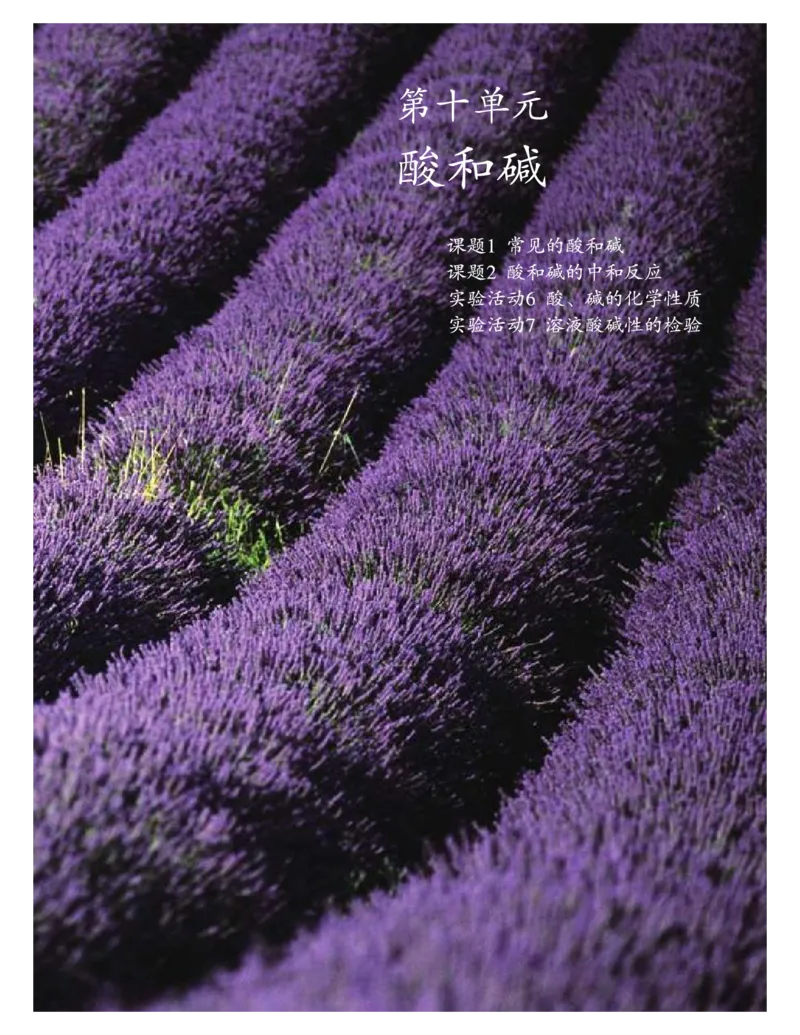 人教版初中化学九年级下册电子课本(新版)_初中化学_01.人教版初中化学_01.初中化学课件PPT--教案--试题_初中化学全套_化学教案_化学：人教版九年级新版上下册PDF电子课本（2份）