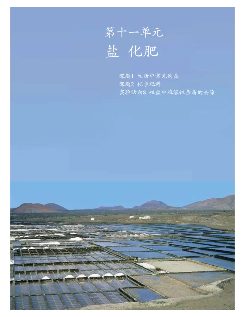 人教版初中化学九年级下册电子课本(新版)_初中化学_01.人教版初中化学_01.初中化学课件PPT--教案--试题_初中化学全套_化学教案_化学：人教版九年级新版上下册PDF电子课本（2份）