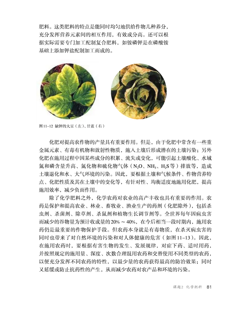 人教版初中化学九年级下册电子课本(新版)_初中化学_01.人教版初中化学_01.初中化学课件PPT--教案--试题_初中化学全套_化学教案_化学：人教版九年级新版上下册PDF电子课本（2份）