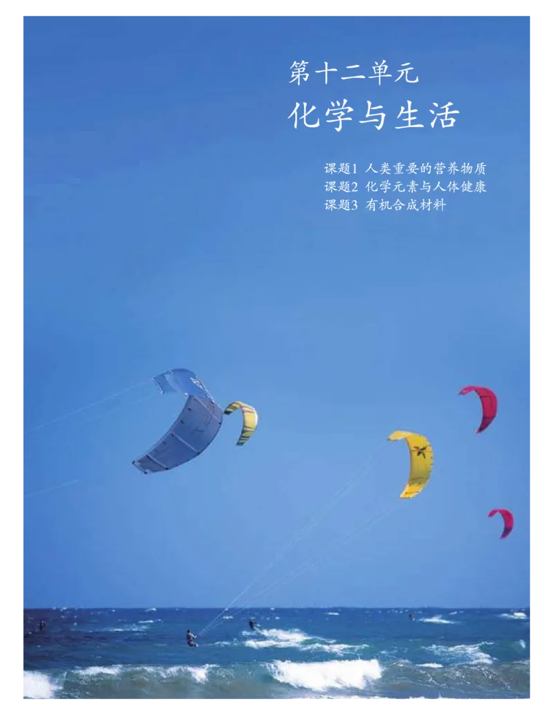 人教版初中化学九年级下册电子课本(新版)_初中化学_01.人教版初中化学_01.初中化学课件PPT--教案--试题_初中化学全套_化学教案_化学：人教版九年级新版上下册PDF电子课本（2份）