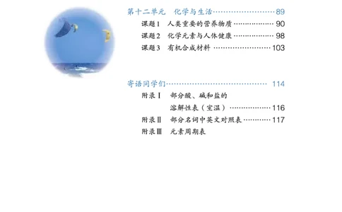 人教版初中化学九年级下册电子课本(新版)_初中化学_01.人教版初中化学_01.初中化学课件PPT--教案--试题_初中化学全套_化学教案_化学：人教版九年级新版上下册PDF电子课本（2份）