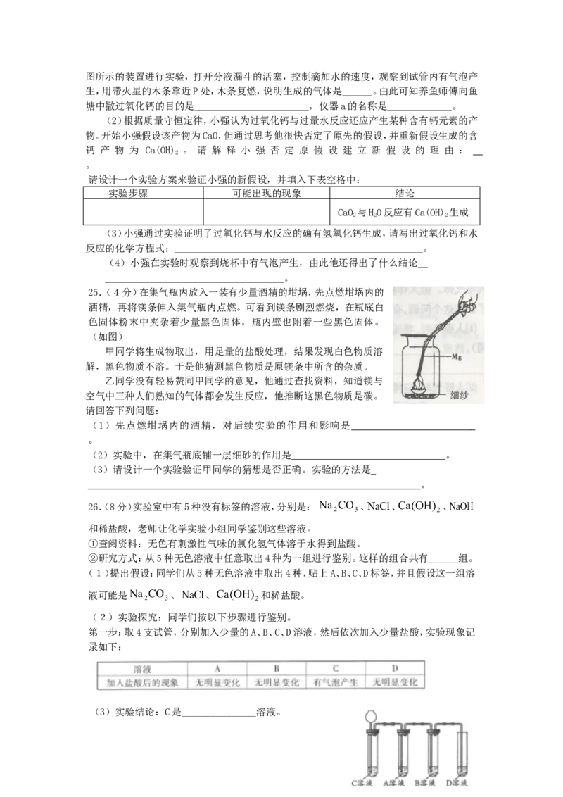 2009年全国初中学生化学素质和实验能力竞赛（天津赛区）试题_初中化学_01.人教版初中化学_01.初中化学课件PPT--教案--试题_初中化学全套_化学试题