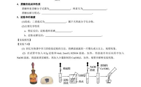 新教材精创7.4基本营养物质学案（1）-人教版高中化学必修第二册_高化_2025春-人教版高中化学_02新版高中化学必修二_2.课件+教案+学案+练习配套版_学案