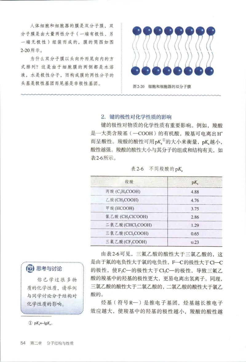 新人教版化学选择性必修2_高化_2025春-人教版高中化学_04新版高中化学选择性必修2