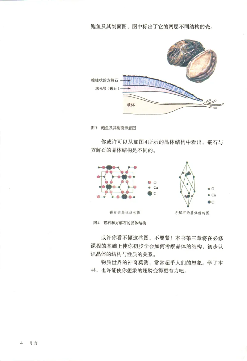 新人教版化学选择性必修2_高化_2025春-人教版高中化学_04新版高中化学选择性必修2