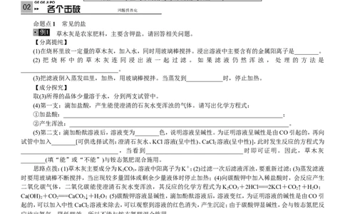 2018年中考复习化学考点解读：第8讲盐化学肥料_初中化学_01.人教版初中化学_07.初中化学中考总复习_2018年中考复习化学考点解读