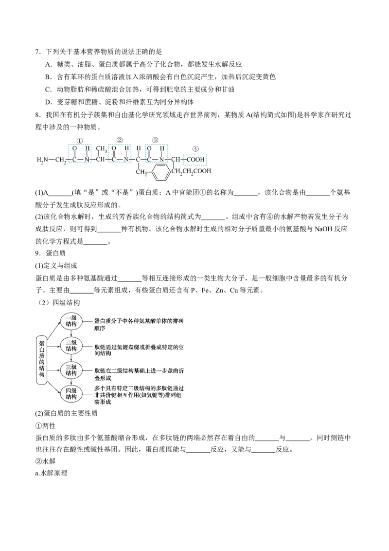 第四章生物大分子单元测试&middot;考点卷-（人教版2019选择性必修3）（原卷版）_高化_595801221724高中化学新人教版选择性必修一二三电子版教案PPT课件高中试卷_选择性必修3册（人教版）