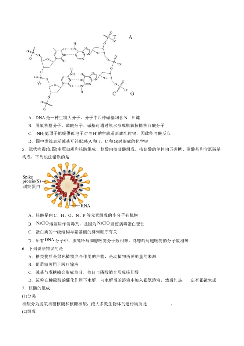 第四章生物大分子单元测试&middot;考点卷-（人教版2019选择性必修3）（原卷版）_高化_595801221724高中化学新人教版选择性必修一二三电子版教案PPT课件高中试卷_选择性必修3册（人教版）