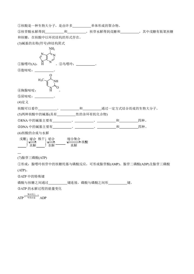 第四章生物大分子单元测试&middot;考点卷-（人教版2019选择性必修3）（原卷版）_高化_595801221724高中化学新人教版选择性必修一二三电子版教案PPT课件高中试卷_选择性必修3册（人教版）