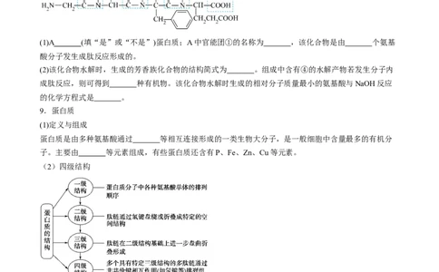 第四章生物大分子单元测试&middot;考点卷-（人教版2019选择性必修3）（原卷版）_高化_595801221724高中化学新人教版选择性必修一二三电子版教案PPT课件高中试卷_选择性必修3册（人教版）