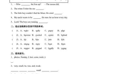 Unit1Thelionandthemouse.Soundtime&Cartoontime（第3课时）-六年级英语下册（译林版三起）_分层作业_2025版