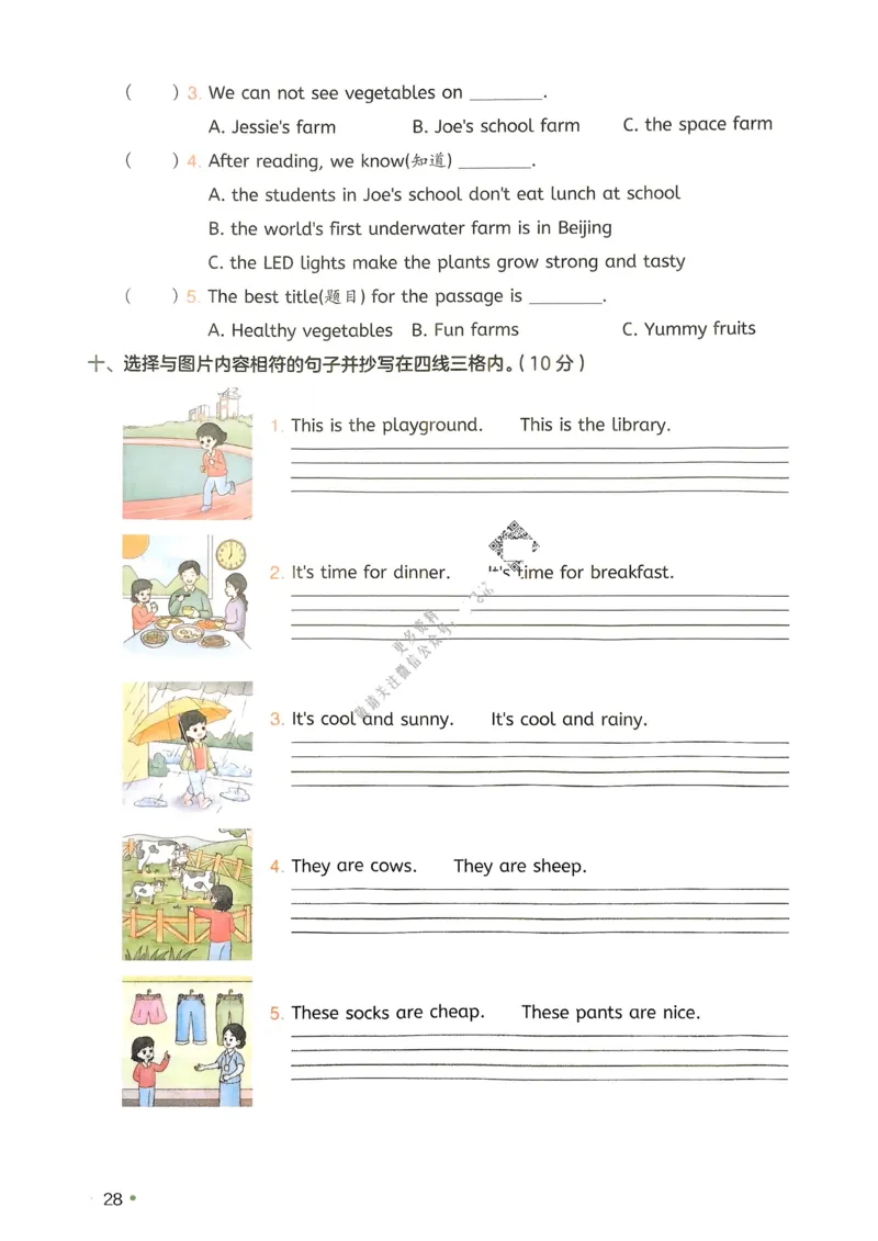 2025版一本4升5预备五年级英语复习巩固册_小学资料合集_2025版小学《一本预习衔接》1-6年级语文数学英语_一本预备五年级语数英25年