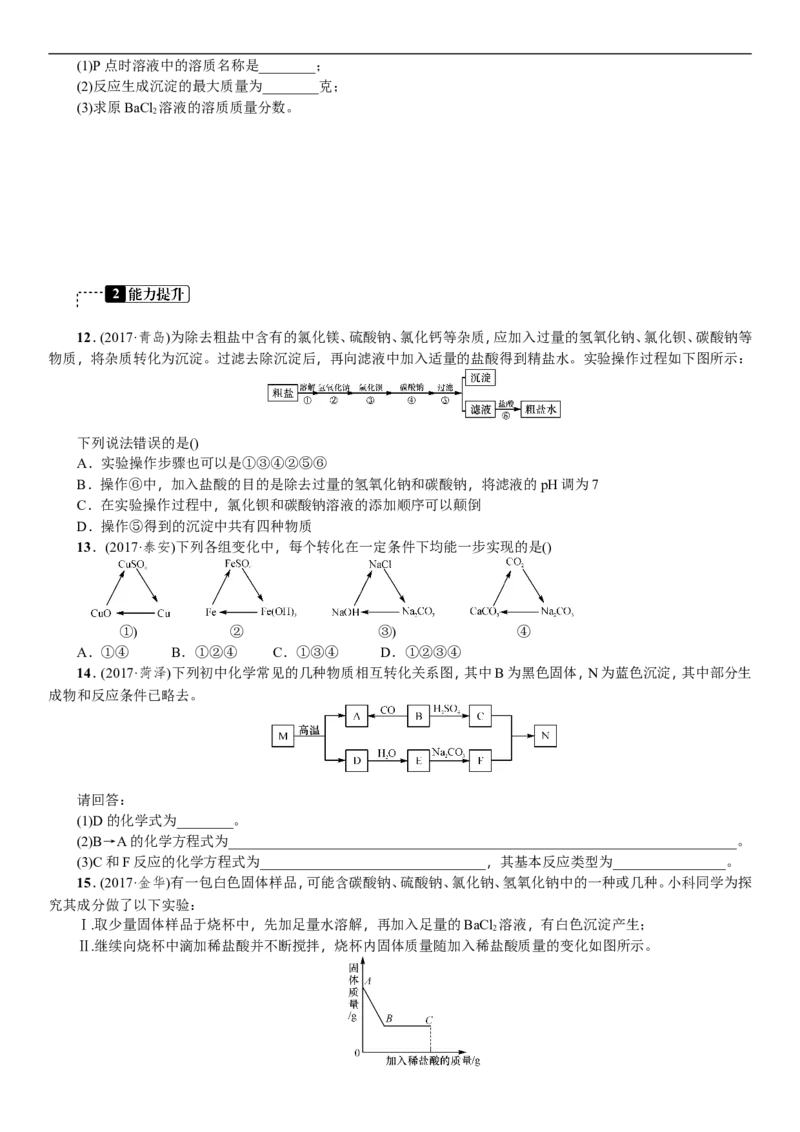 第7讲盐化学肥料_初中化学_01.人教版初中化学_07.初中化学中考总复习_2018年中考化学一轮复习（课件+测试）