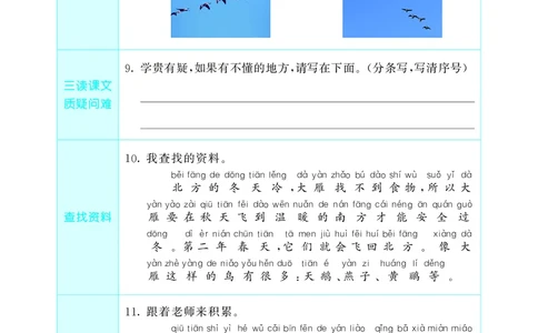 53预习单小学语文1年级上册_26春四年级上下册人教版_四上英语合集人教版PEP英语四年级上册新教材（教学视频+课件+动画+音频+练习+教案）_17练习资料_小学英语（预习复习资料大礼包）