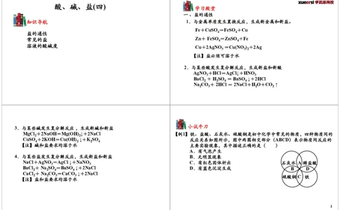 酸、碱、盐（四）_初中化学_01.人教版初中化学_03.初中化学专项视频_[7453]初三化学下学期寒假课内突破班_第9讲酸、碱、盐（四）