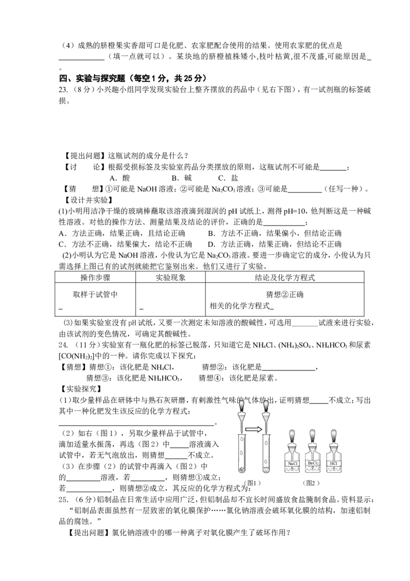 第11单元《盐化肥》单元检测卷及答案_初中化学_01.人教版初中化学_01.初中化学课件PPT--教案--试题_初中化学全套_化学试题_化学：人教版九年级下册各单元测试题及答案（58份）