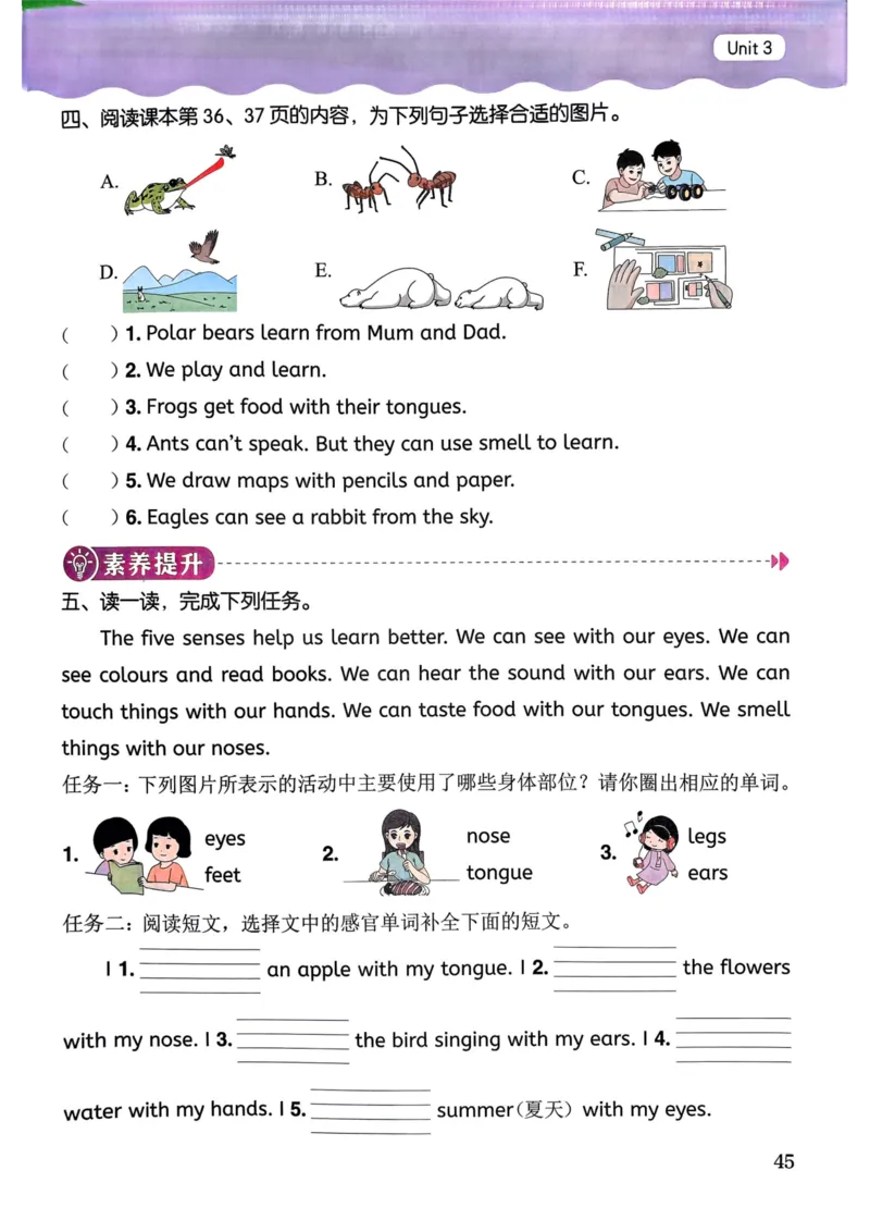 25春黄冈小状元作业本3下英语（PEP)_26春四年级上下册人教版_四上英语合集人教版PEP英语四年级上册新教材（教学视频+课件+动画+音频+练习+教案）_17练习资料_《黄冈小状元作业本》25春