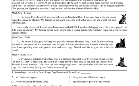 03-人与社会(一)&mdash;社会服务与人际沟通(B卷)(原卷版)_02中考总复习（2026版更新中）_03-英语-中考总复习_2024年中考复习资料_三轮复习_2024年中考英语新课标话题考前冲刺题型综合突破