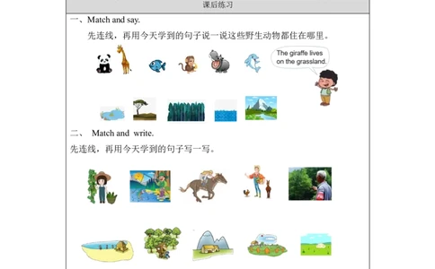 1105四年级英语(北京版)UNIT+SEVEN+WHAT+IS+NATURE？(2)-4课后练习_26春四年级上下册人教版_四上英语合集人教版PEP英语四年级上册新教材（教学视频+课件+动画+音频+练习+教案）_17练习资料