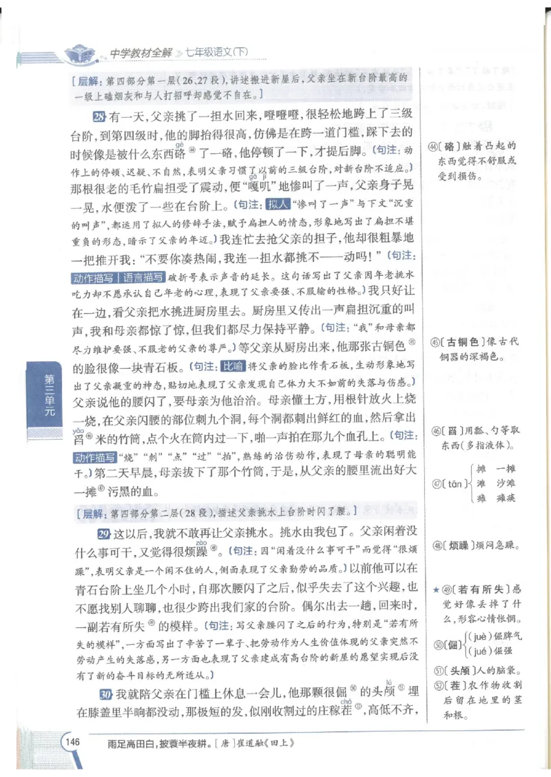 2025版《初中教材全解》语文七下_新人教版七下语文学习资料包_13.配套教辅练习
