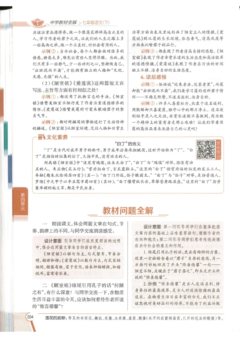 2025版《初中教材全解》语文七下_新人教版七下语文学习资料包_13.配套教辅练习