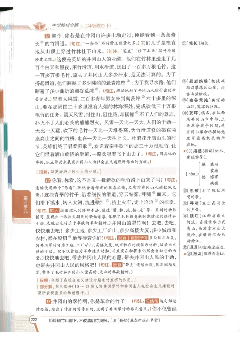 2025版《初中教材全解》语文七下_新人教版七下语文学习资料包_13.配套教辅练习