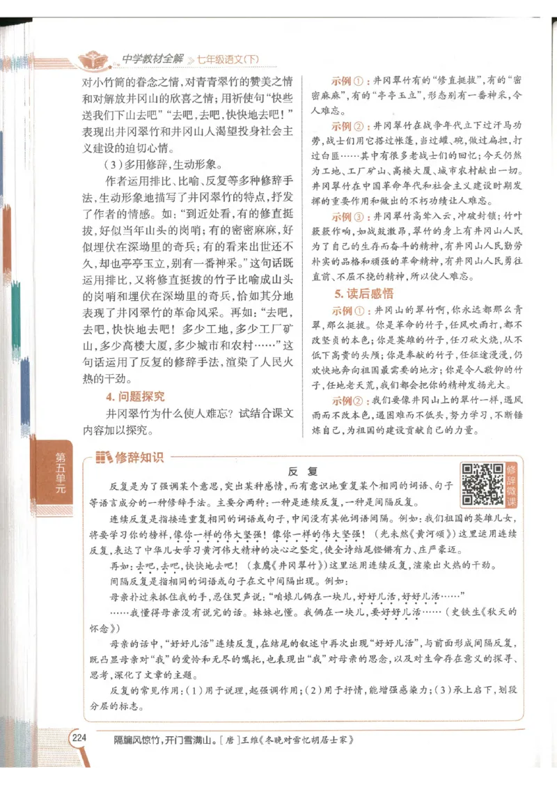 2025版《初中教材全解》语文七下_新人教版七下语文学习资料包_13.配套教辅练习