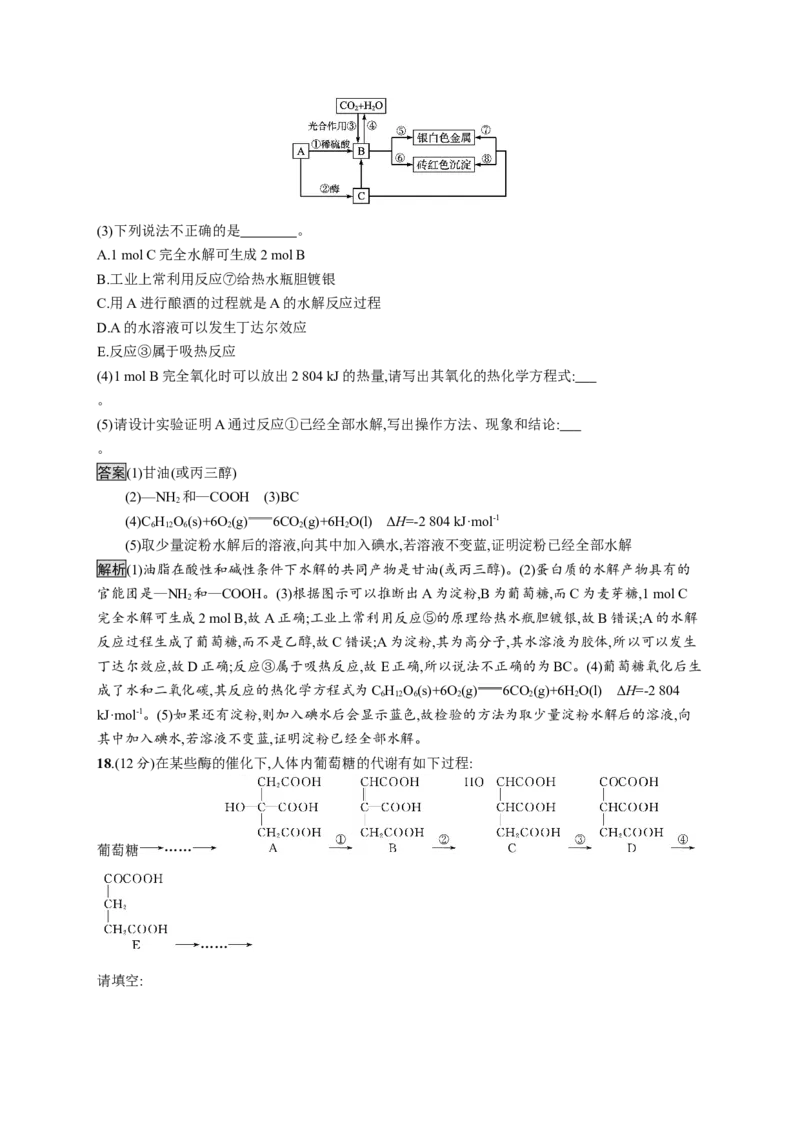 第四章测评_高化_2025春-人教版高中化学_05新版高中化学选择性必修3_2.课件+练习_第四章生物大分子本章整合课件（19张ppt）+练习（含解析）