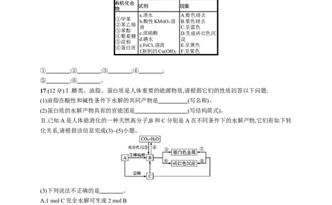 第四章测评_高化_2025春-人教版高中化学_05新版高中化学选择性必修3_2.课件+练习_第四章生物大分子本章整合课件（19张ppt）+练习（含解析）