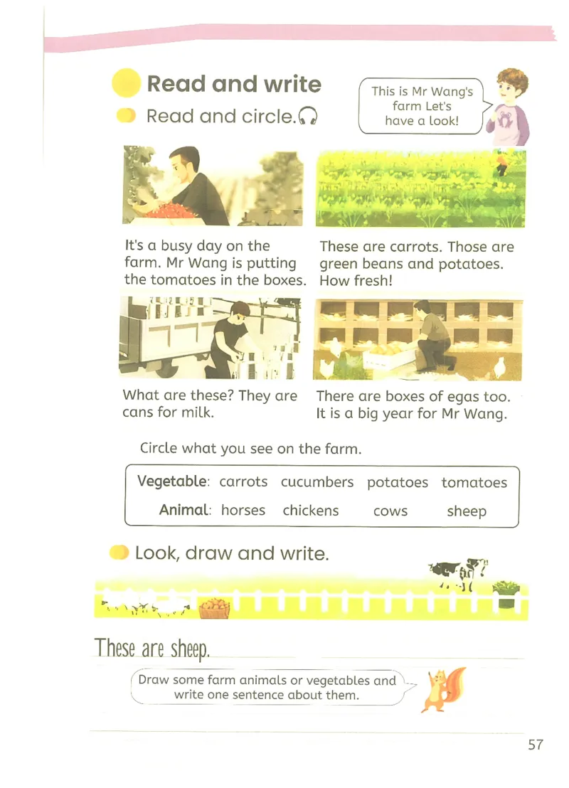 2026春人教PEP英语四年级下册电子课本_26春四年级上下册人教版