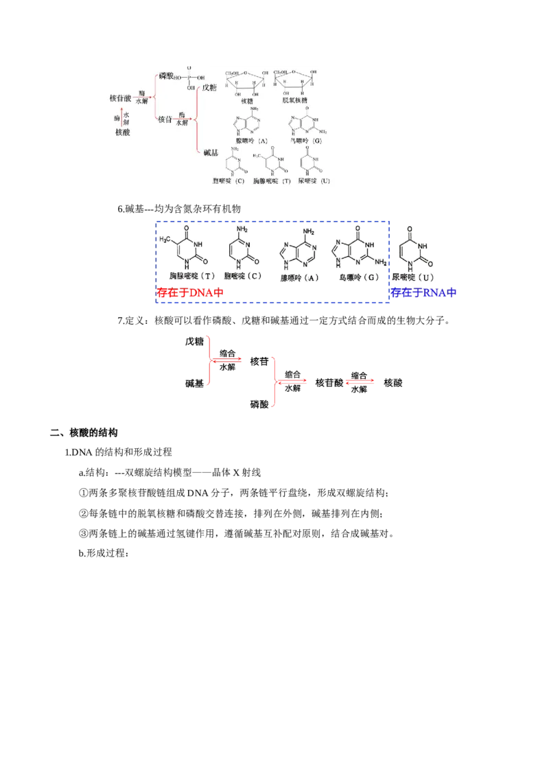 第四章生物大分子（单元知识清单）-（人教版2019选择性必修3）_高化_595801221724高中化学新人教版选择性必修一二三电子版教案PPT课件高中试卷_选择性必修3册（人教版）_知识清单
