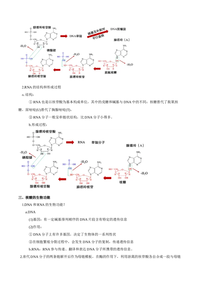 第四章生物大分子（单元知识清单）-（人教版2019选择性必修3）_高化_595801221724高中化学新人教版选择性必修一二三电子版教案PPT课件高中试卷_选择性必修3册（人教版）_知识清单