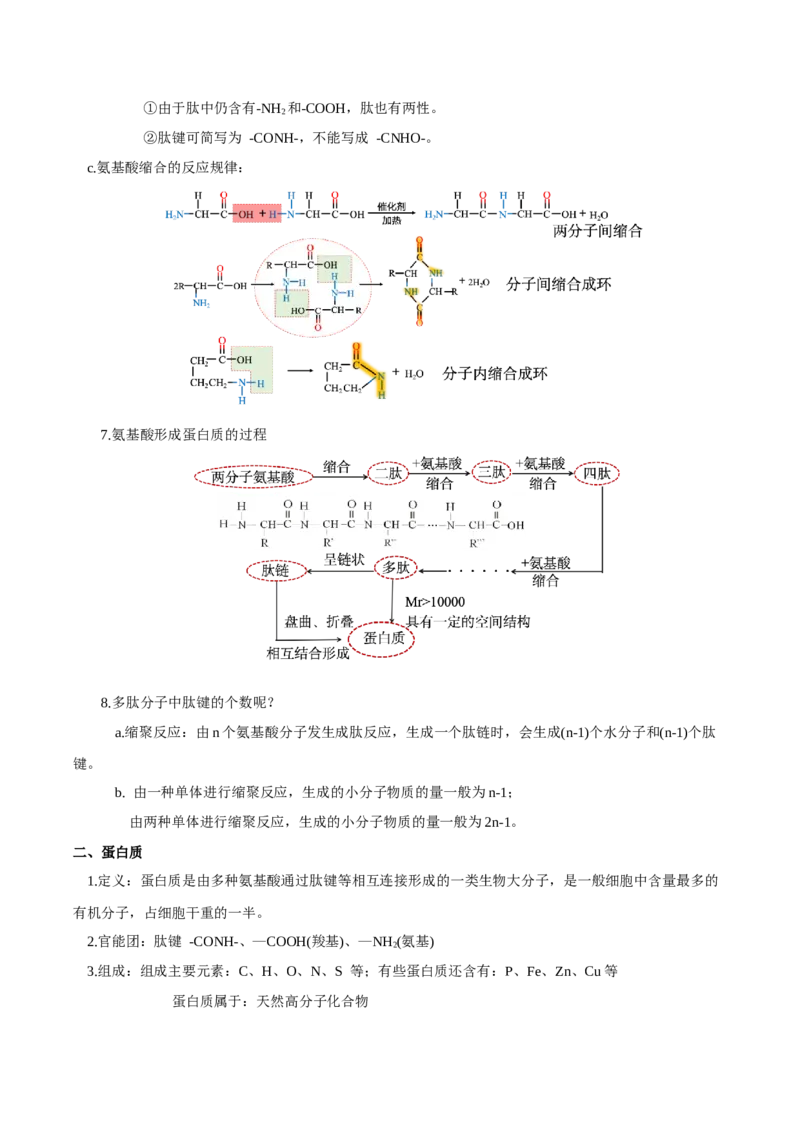第四章生物大分子（单元知识清单）-（人教版2019选择性必修3）_高化_595801221724高中化学新人教版选择性必修一二三电子版教案PPT课件高中试卷_选择性必修3册（人教版）_知识清单