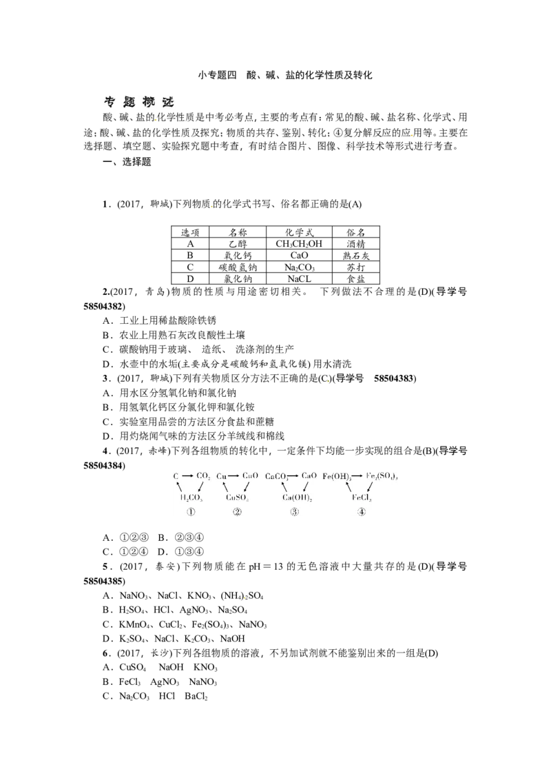 小专题四酸、碱、盐的化学性质及转化_初中化学_01.人教版初中化学_07.初中化学中考总复习_2018年（聚焦新中考）人教版